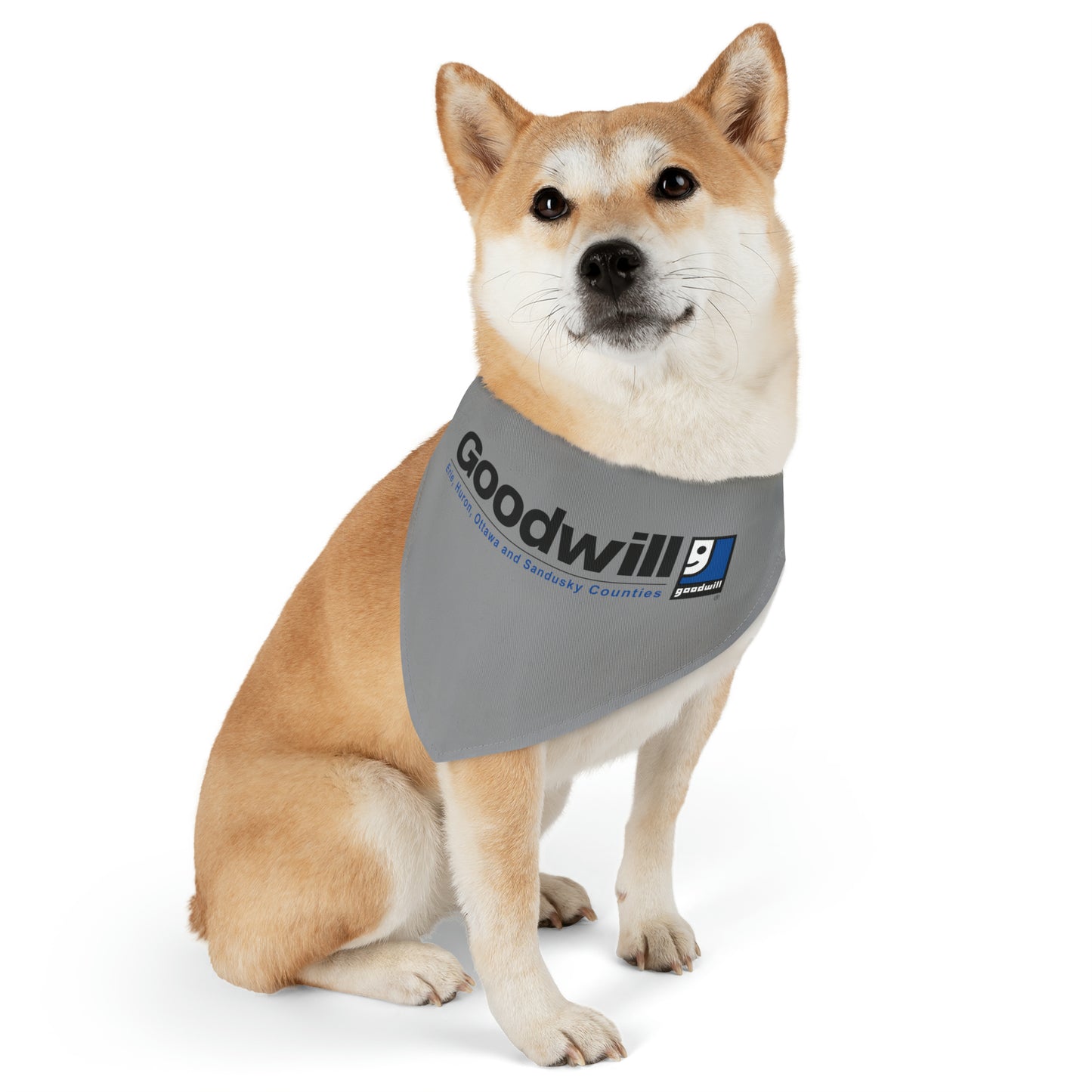 Pet Bandana Collar