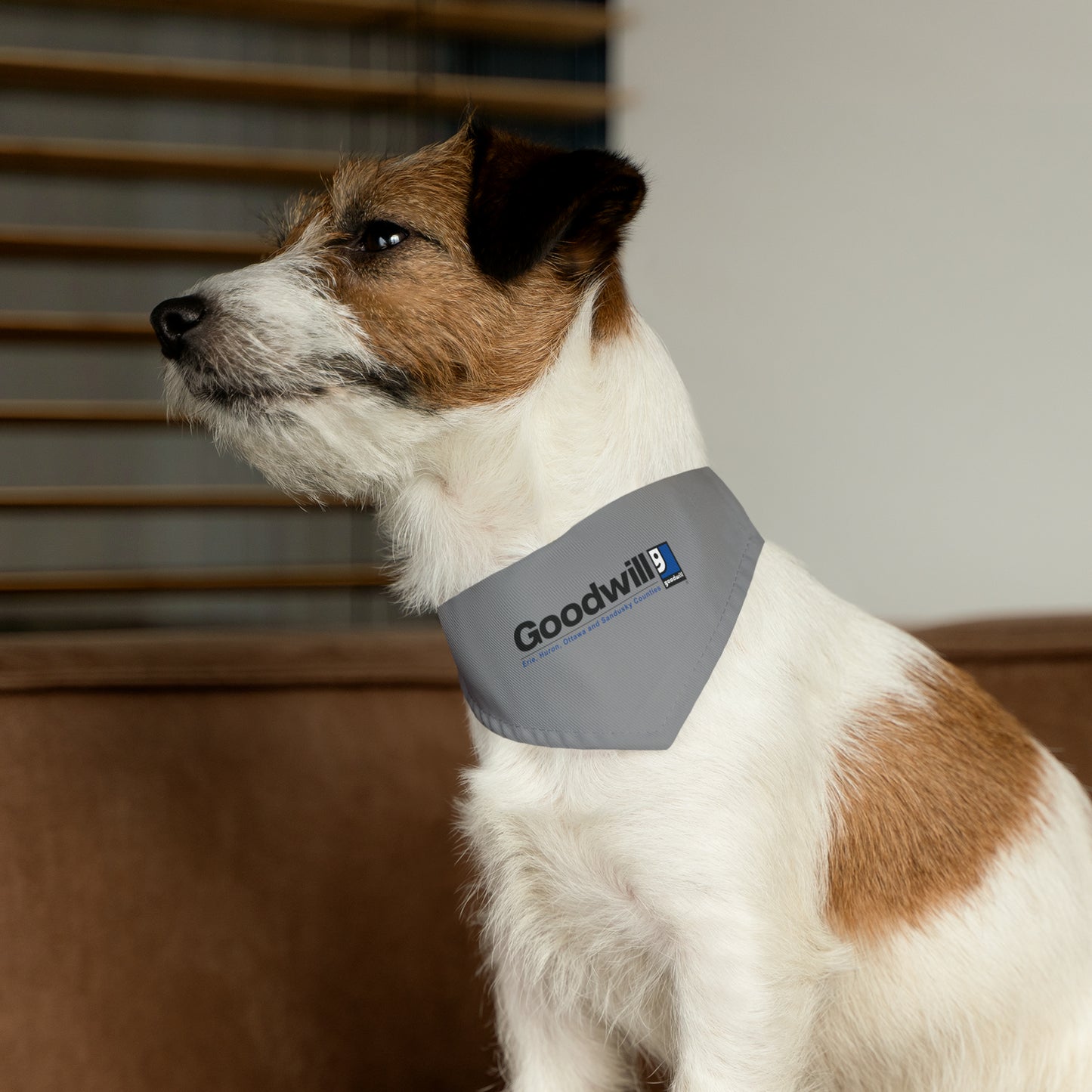 Pet Bandana Collar