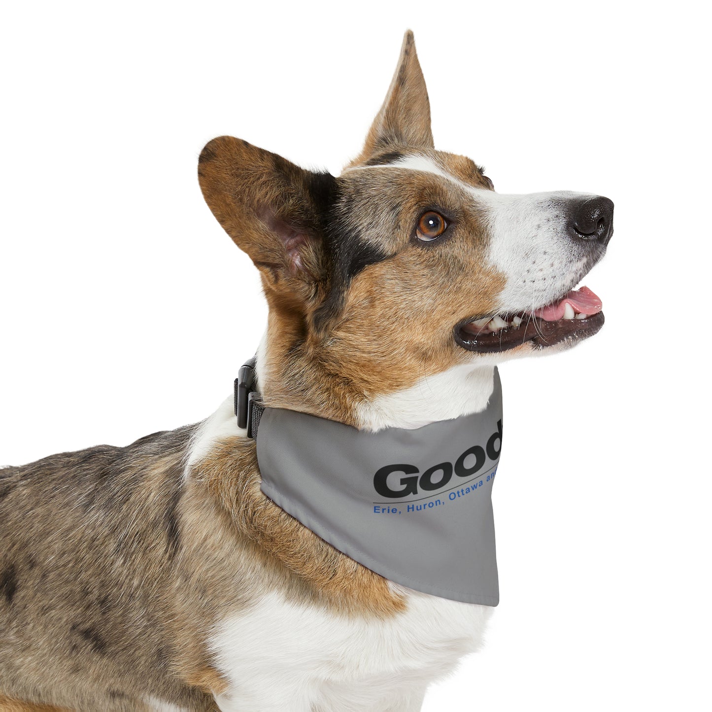 Pet Bandana Collar