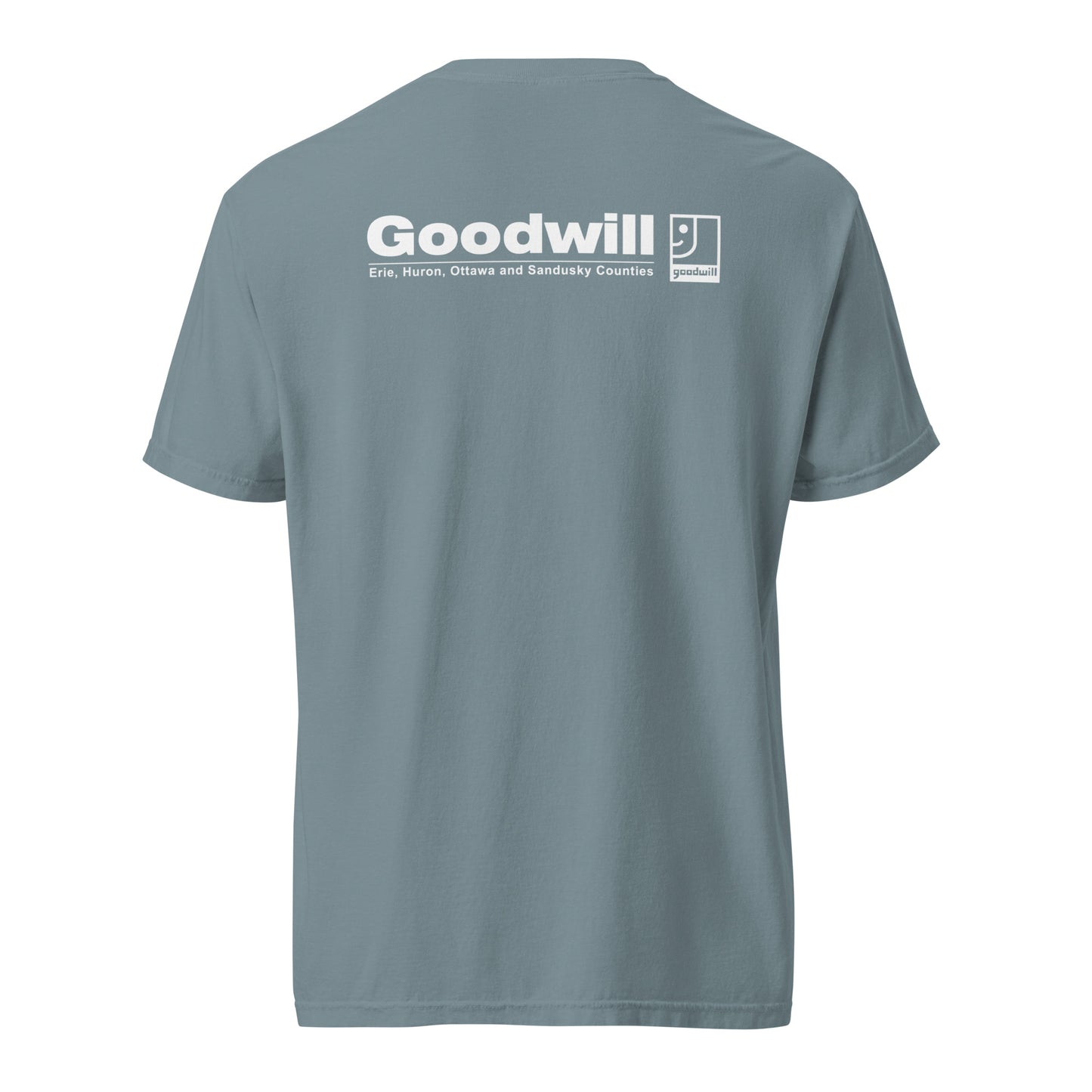 Comfort Colors | Unisex heavyweight t-shirt (alternate design)