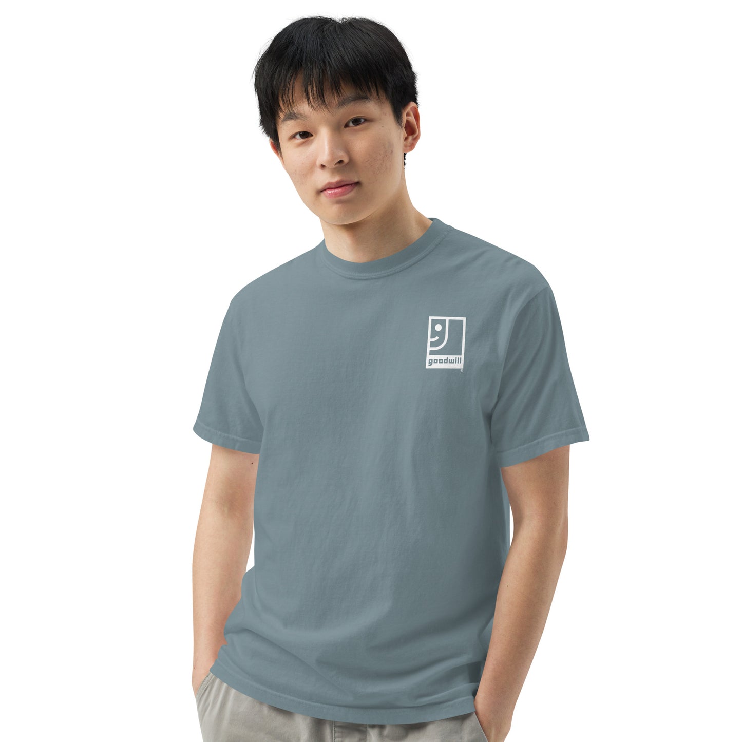 Comfort Colors | Unisex heavyweight t-shirt (alternate design)